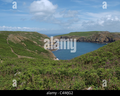 Skomer. Pembrokeshire. UK Stockfoto