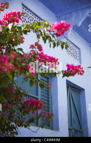 Brahmanen-blaue Haus in der Altstadt, Bundi, Rajasthan, Indien Stockfoto