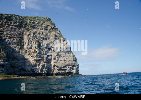 Schottland, Shetland-Inseln. Noss schottischen natürliche Naturschutzgebiet. Erkunden die Vogelklippen von Noss. Stockfoto