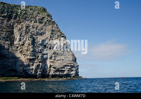 Schottland, Shetland-Inseln. Noss schottischen natürliche Naturschutzgebiet. Erkunden die Vogelklippen von Noss. Stockfoto