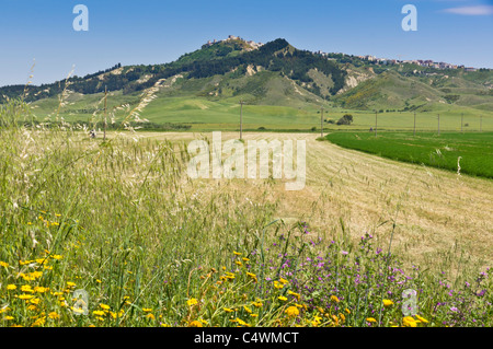 Italien - Montescaglioso, Stadt auf einem Hügel in der Nähe von Matera, Basilikata, Italien. Blick auf die Stadt vom Bauernhof im Tal unten. Stockfoto