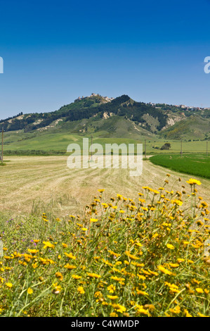 Italien - Montescaglioso, Stadt auf einem Hügel in der Nähe von Matera, Basilikata, Italien. Blick auf die Stadt vom Bauernhof im Tal unten. Stockfoto