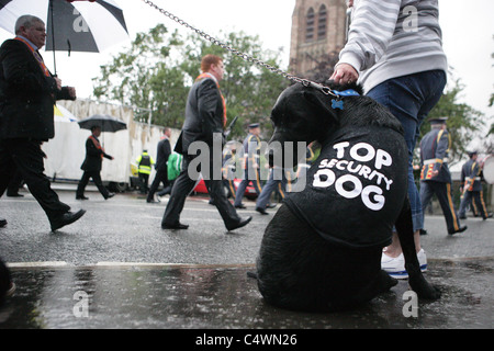 NÖRDLICHEN RLAND, BELFAST: Ein Hund sitzt in der Nähe von seinen Besitzer während an ein Band Pro britischen Loyalisten Parade auf der Newtownards Straße verläuft Stockfoto