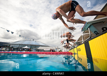 Schwimmer machen einen Tauchgang starten während ihrer Leistungssport (Frankreich). Départ Plongé Lors d ' une Compétition de Natation (Frankreich). Stockfoto