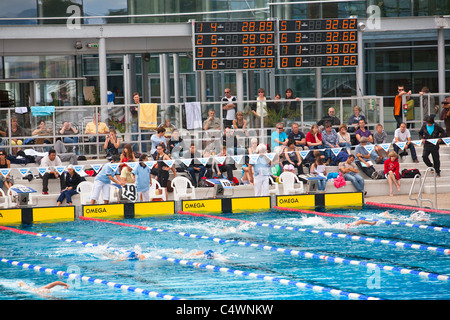 Ein Wettschwimmen (Bellerive-Sur-Allier - Frankreich). Compétition de Natation (Bellerive-Sur-Allier - Frankreich). Stockfoto