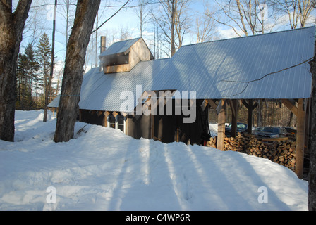 Ein Sugarhouse senden Dampf in die Luft wie Sugarmakers Ahorn Sap in Ahorn Zucker aufkochen. Stockfoto