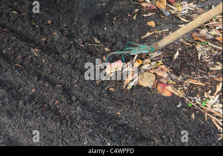 Rechen entfernt Unkraut und Laub. Teil 1 des Grabens Kompostierung, Boden-Qualitäts-Serie von Bildern zu verbessern. Stockfoto