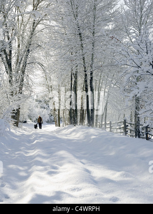 USA, Colorado, Frau und Hund auf verschneiten Straße Stockfoto