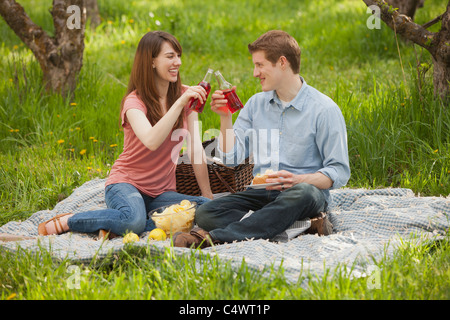 USA, Utah, Provo, junges Paar, toasten Getränke bei Picknick Stockfoto