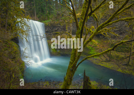 USA, Oregon, Silver Falls State Park, Lower South Falls Stockfoto