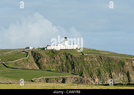 Blick auf die Klippen Weide und entfernten Leuchtturm Sumburgh Head Lighthouse Sumburgh Head RSPB Reserve Festland Shetland UK Stockfoto