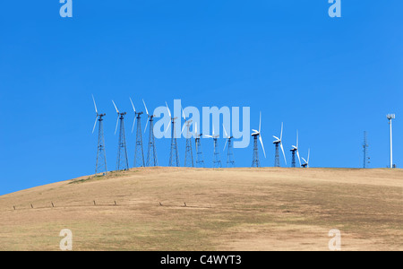 Eingestellt von Windmühlen auf dem Maisfeld bei blauem Himmel in Kalifornien Stockfoto