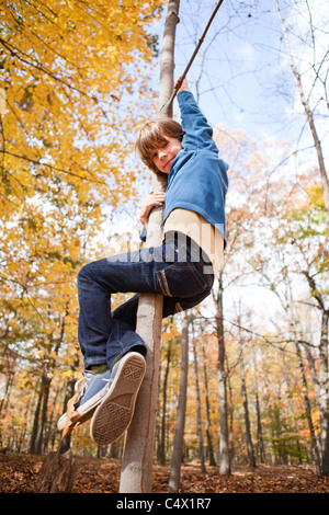 Junge spielt auf Baum Stockfoto