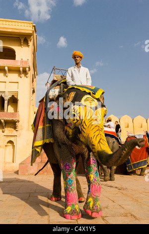 Männliche Mahout, indischen Elefanten an der berühmten Attraktion Fort Amber in Jaipur Indien, bunt geschmückten Elefanten lackiert Trunk, blauer Himmel Stockfoto