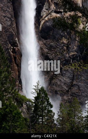 Bridal Veil Falls Wasserfall für vollen Fluß vom Frühjahr Tauwetter Erstellen von Nebel um Bäume, die an der Basis Yosemite National Park, Kalifornien, USA Stockfoto