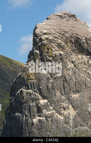 Schottland, St. Kilda Islands, äußeren Hebriden. Meer-Stack (Stac ein Armin) neben der Insel Boreray. Stockfoto