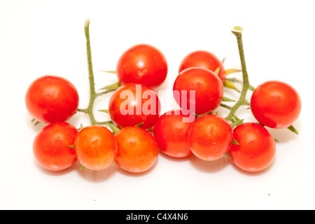 Closeup Aufnahme von Reife Kirschtomaten isoliert auf weiss. Stockfoto