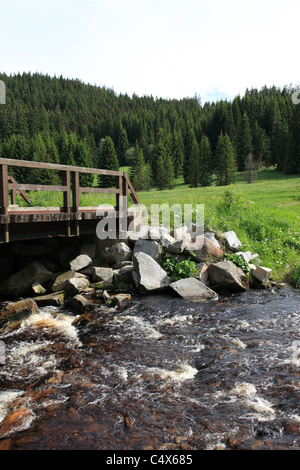 Landschaft am Fluss Vltava und Holzbrücke, Böhmerwald, Tschechien, Europa. Foto: Willy Matheisl Stockfoto