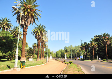 Blauer Himmelsblick auf Avenida Libertador, mit Palm-Baum, roter Weg und Skulpturen, Parque General San Martin, Mendoza, Argentinien Stockfoto