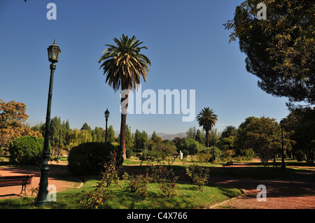 Blauer Himmelsblick in Richtung Anden rose Garten Palmen und Zierpflanzen Laternenpfähle, Park General San Martin, Mendoza, Argentinien Stockfoto