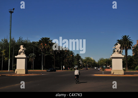 Blauer Himmel sehen zwei Marmor-Pferde auf hohen Sockeln, Radfahrer, Bäume, Avenida Libertador General San Martin Park, Mendoza, Argentinien Stockfoto