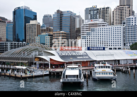 Über Cockle Bay Wildlife World und Sydney Aquarium Harbour Cruise Boote am Darling Harbour, New South Wales Australien Stockfoto