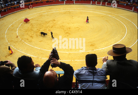 Bull Kampfarena (Plaza de Toros) in Granada, Andalusien Stockfoto