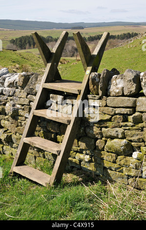 Hölzernen Stil über Trockenmauer Northumberland, England Stockfoto