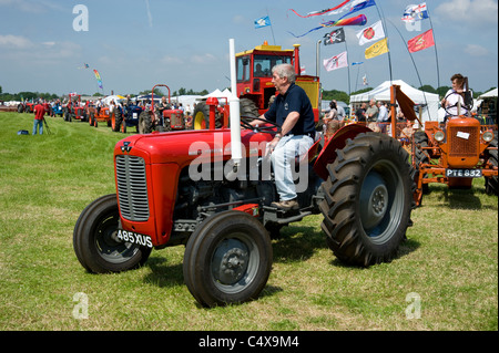 Traktor Massey-Ferguson 35 Stockfoto