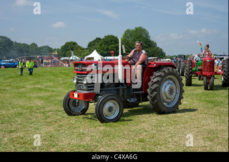 Traktor Massey-Ferguson 165 Stockfoto