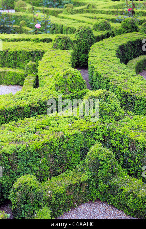 Park, Palais Mateus (Solar de Mateus), in der Nähe von Vila Real, Portugal Stockfoto