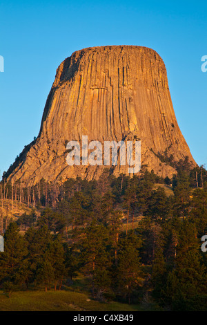 Sonnenaufgang am Devil es Tower National Monument in Wyoming. Stockfoto