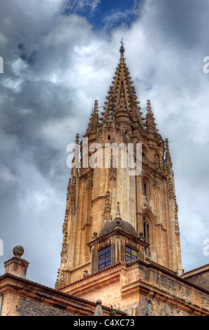 Kathedrale von San Salvador, Oviedo, Asturien, Spanien Stockfoto