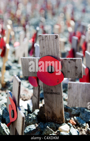 Erinnerung-Mohnblumen auf Holzkreuzen Stockfoto