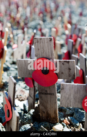 Erinnerung-Mohnblumen auf Holzkreuzen Stockfoto