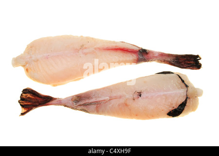 Zwei frische Seeteufel Tails isoliert auf weiss Stockfoto