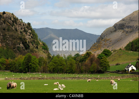 Blick vom Legburthwaite in Richtung John im Tal Stockfoto