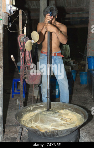 Herstellung von thai Palmzucker im Hause Fabrik, Amphawa schwimmenden Markt, Thailand. Mann mischen Palm-Creme. Stockfoto