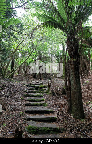 steinernen Weg durch den ummauerten Garten in Kells Bay Gardens, exotischen Gärten auf dem Ring of Kerry, Co. Kerry, Irland Stockfoto