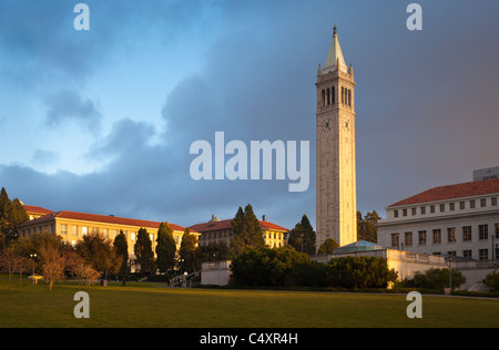 Sather Tower (aka der Campanile) auf dem Campus der University of California in Berkeley. Stockfoto