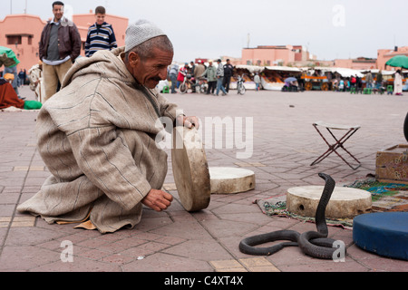 Schlangenbeschwörer auf dem Jemaa El Fna Platz in Marrakesch, Marokko. Stockfoto