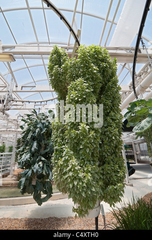 Epcot Theme Park Land Pavillon Walt Disney World Resort in Orlando Florida den Blick hinter die Samen Tour & Leben mit der Länder-Tour Stockfoto