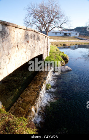 Klares Quellwasser fließt über niedrigen Wasserfall in Quellwasser gespeisten See an Unabhängigkeit Creek Naturschutzgebiet in West-Texas Stockfoto