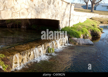 Klares Quellwasser fließt über niedrigen Wasserfall in Quellwasser gespeisten See an Unabhängigkeit Creek Naturschutzgebiet in West-Texas Stockfoto