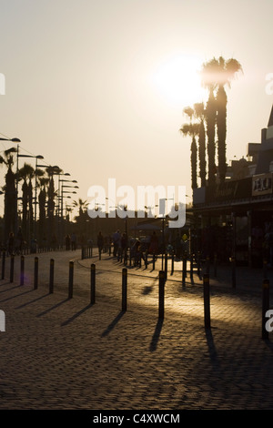 Sonnenuntergang über den Palmen in den Straßen der Stadt von Paphos Zypern Stockfoto