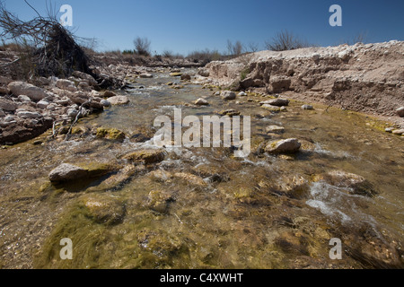 Klaren Wasser der Quelle gespeisten Unabhängigkeit Creek rennt auf dem Zusammenfluss mit der Pecos River in ariden Westen von Texas. Stockfoto