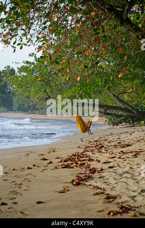 Strand-Hängematte in Puerto Rico in der Nähe von Rincon Stockfoto