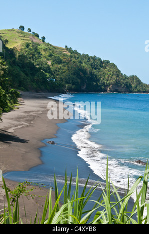 Schwarzen Sand Strand von Petit Bordel Bay, St. Vincent & The Grenadines. Stockfoto