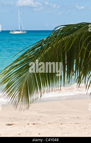 Lower Bay Beach, Bequia, St. Vincent Und Die Grenadinen. Stockfoto