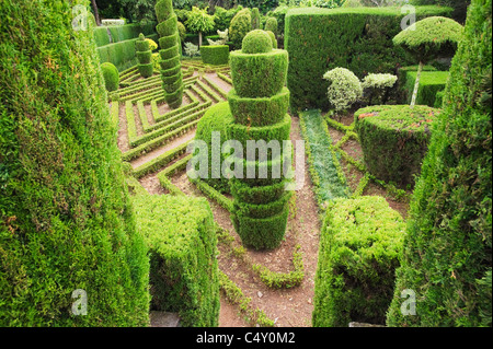 Formschnitt-Hecken, Botanischer Garten, Funchal, Madeira, Portugal Stockfoto